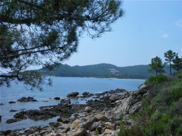 Holiday home U Veniqui Favone